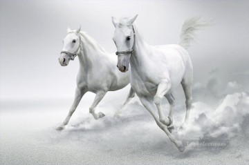 horses snow white running Oil Paintings